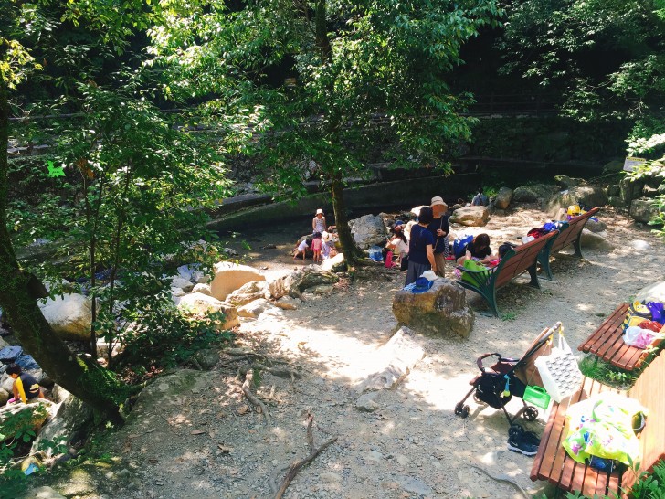 小川で遊ぶ家族