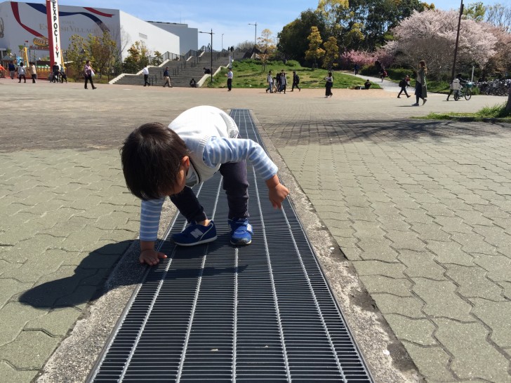 ニョロ助の寄り道